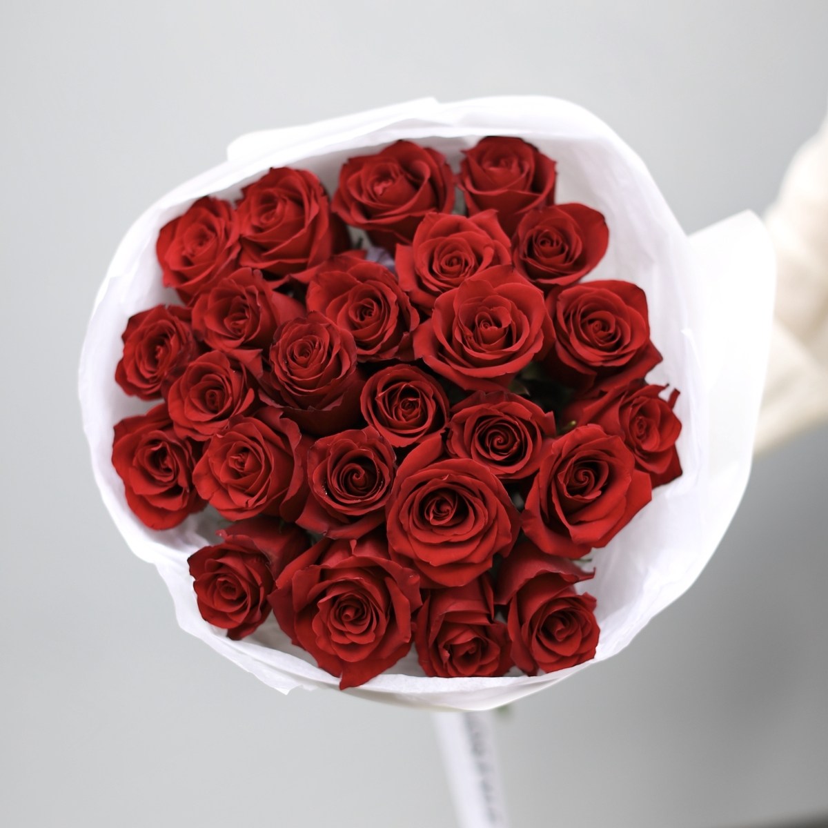 25 красных роз